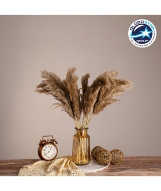 GLOBOSTAR® PAMPASGRASS 36544 Αποξηραμένο Διακοσμητικό Μπουκέτο Γρασίδι της Πάμπας - Μπεζ & Καφέ - Μ20 x Π20 x Υ60cm - Πακέτο 20 Τεμαχίων